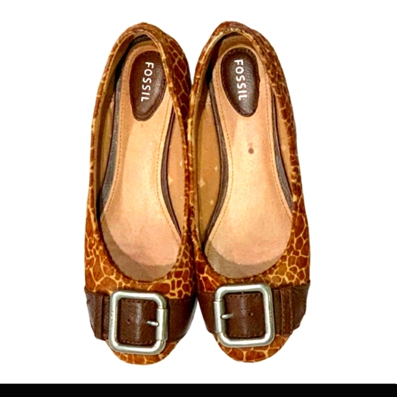 FOSSIL  FLATS! - Picture 2 of 6